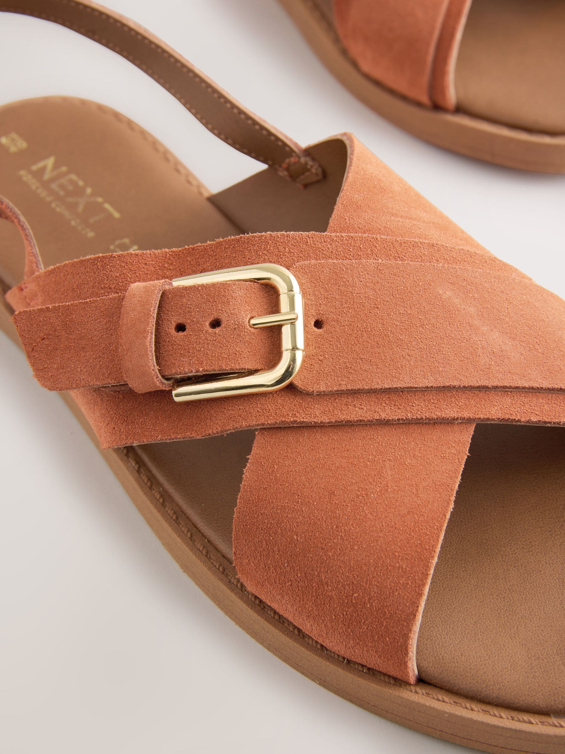 Buy Rust Orange Suede Standard/Wide Fit Forever Comfort® Buckle