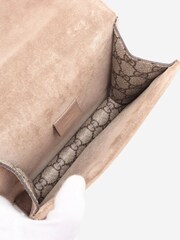 Sign of the Times Neutral GG Supreme Dionysus Chain Bag - Image 9 of 10