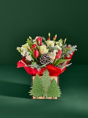 Red/White Rose and Tulip Fresh Flower Bouquet with Lights in Christmas Tree Box - Image 1 of 6