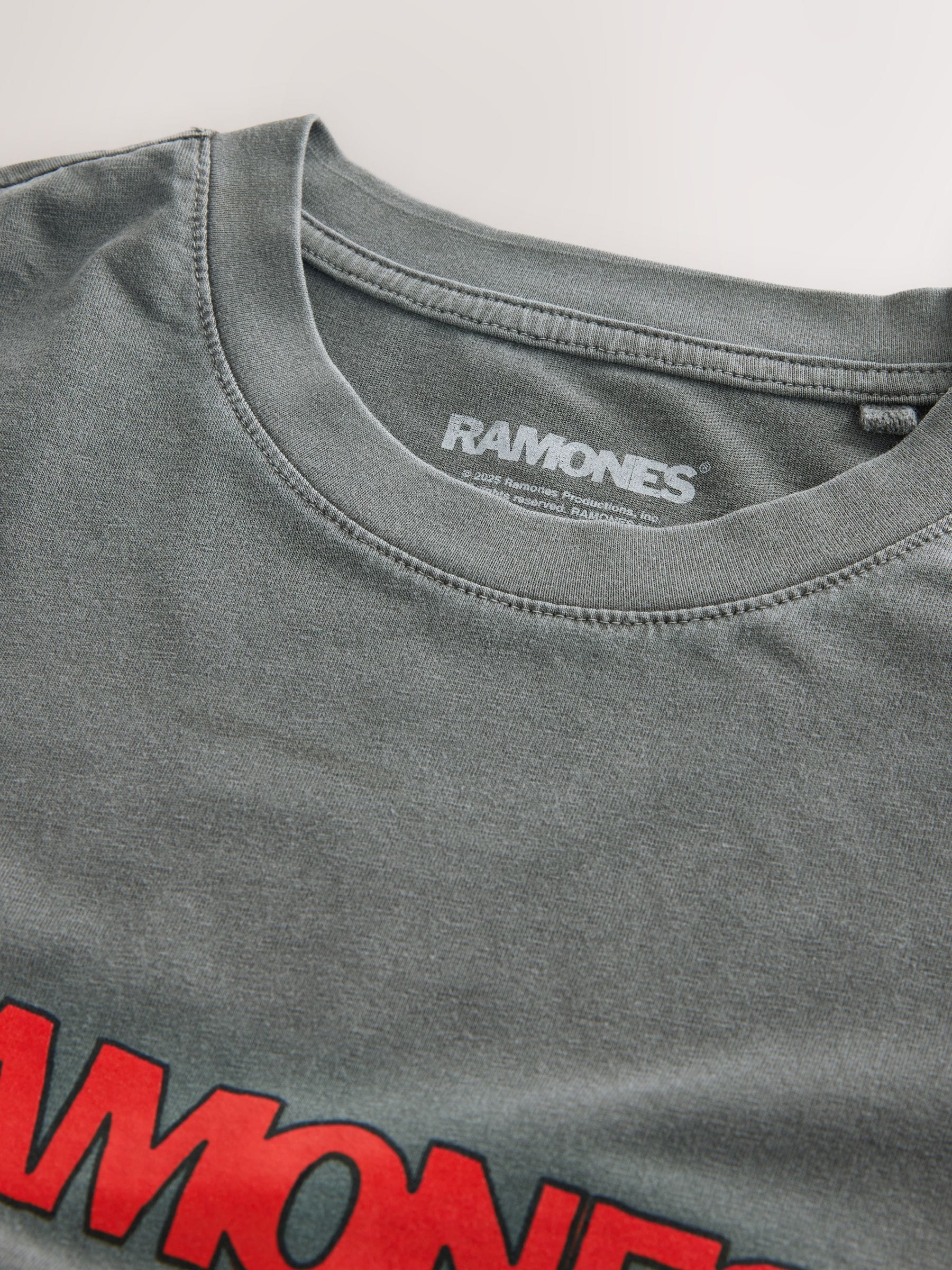 Buy Grey Ramones Relaxed Fit Band Graphic Print T-Shirt from Next USA
