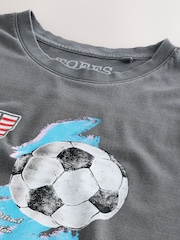 Grey Toffs Football World Cup Relaxed Fit T-Shirt - Image 7 of 8