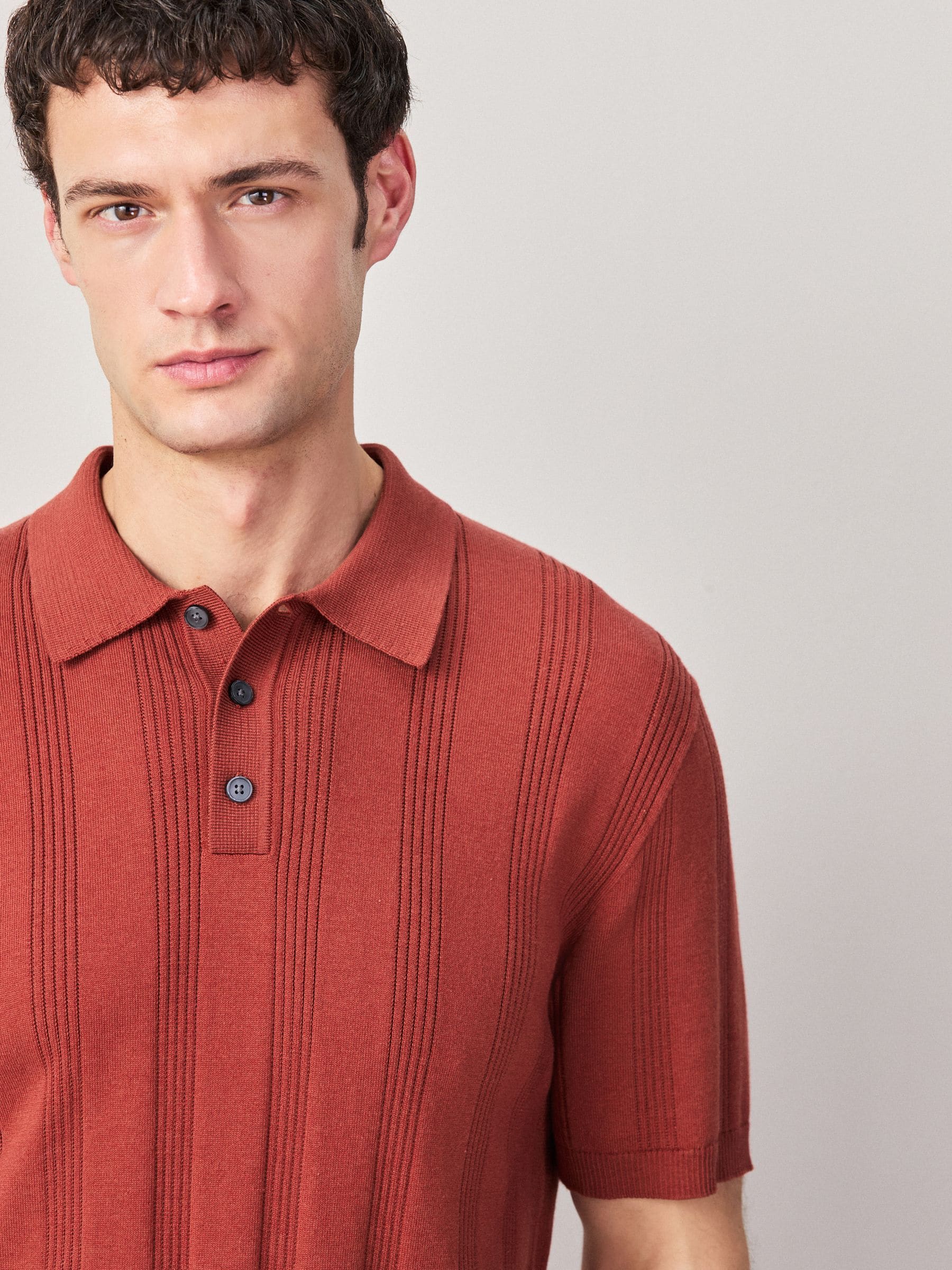 Buy Rust Red Regular Fit Cotton Rich Pointelle Knit Polo Shirt