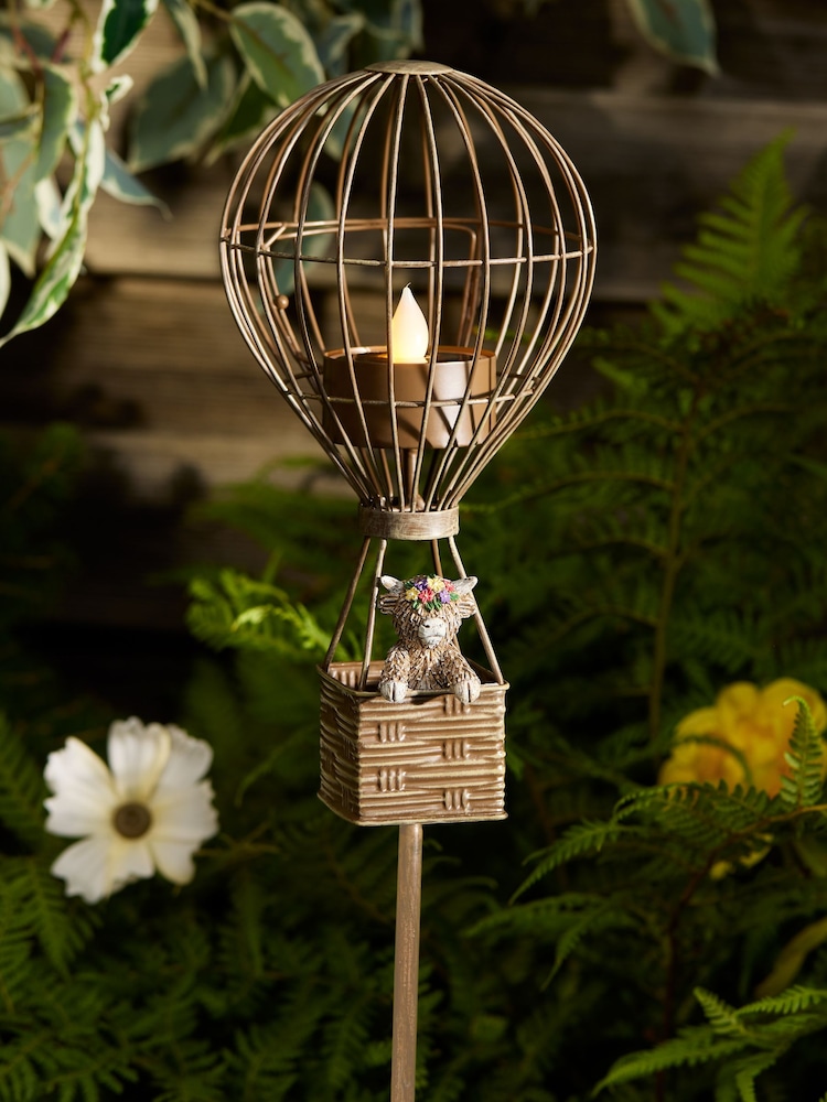 Natural Hamish in Hot Air Balloon Solar Path Finder - Image 1 of 5