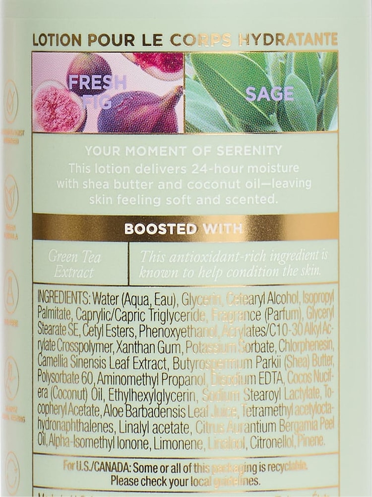Victoria's Secret Fresh Fig Sage Body Lotion - Image 2 of 4