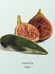 Victoria's Secret Fresh Fig Sage Body Lotion - Image 3 of 4