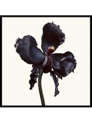 TOM FORD Black Orchid Reserve Eau de Parfum 50ml - Image 2 of 4
