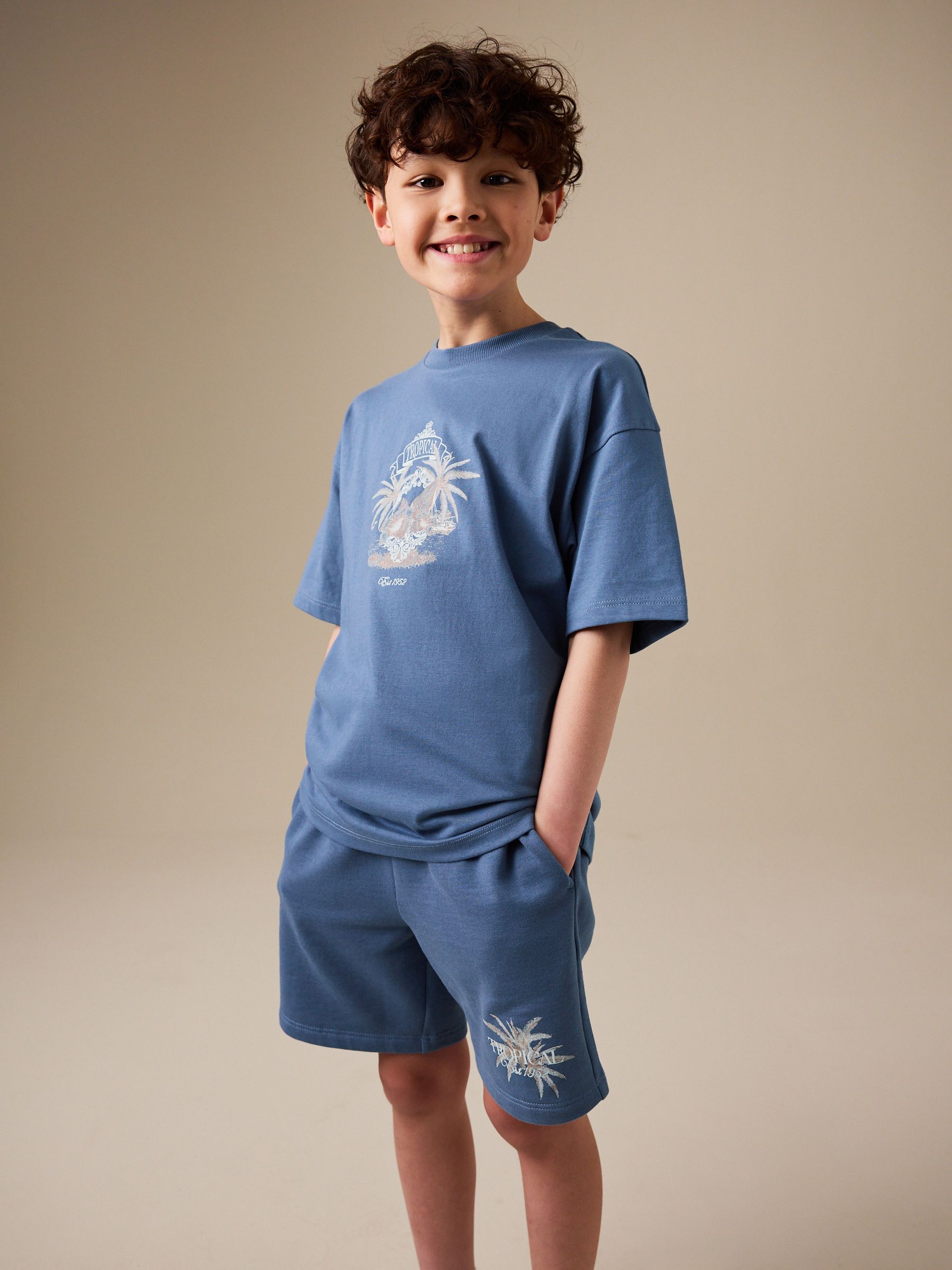Buy Blue Short Sleeve T-Shirt and Shorts Set (3-16yrs) from Next USA