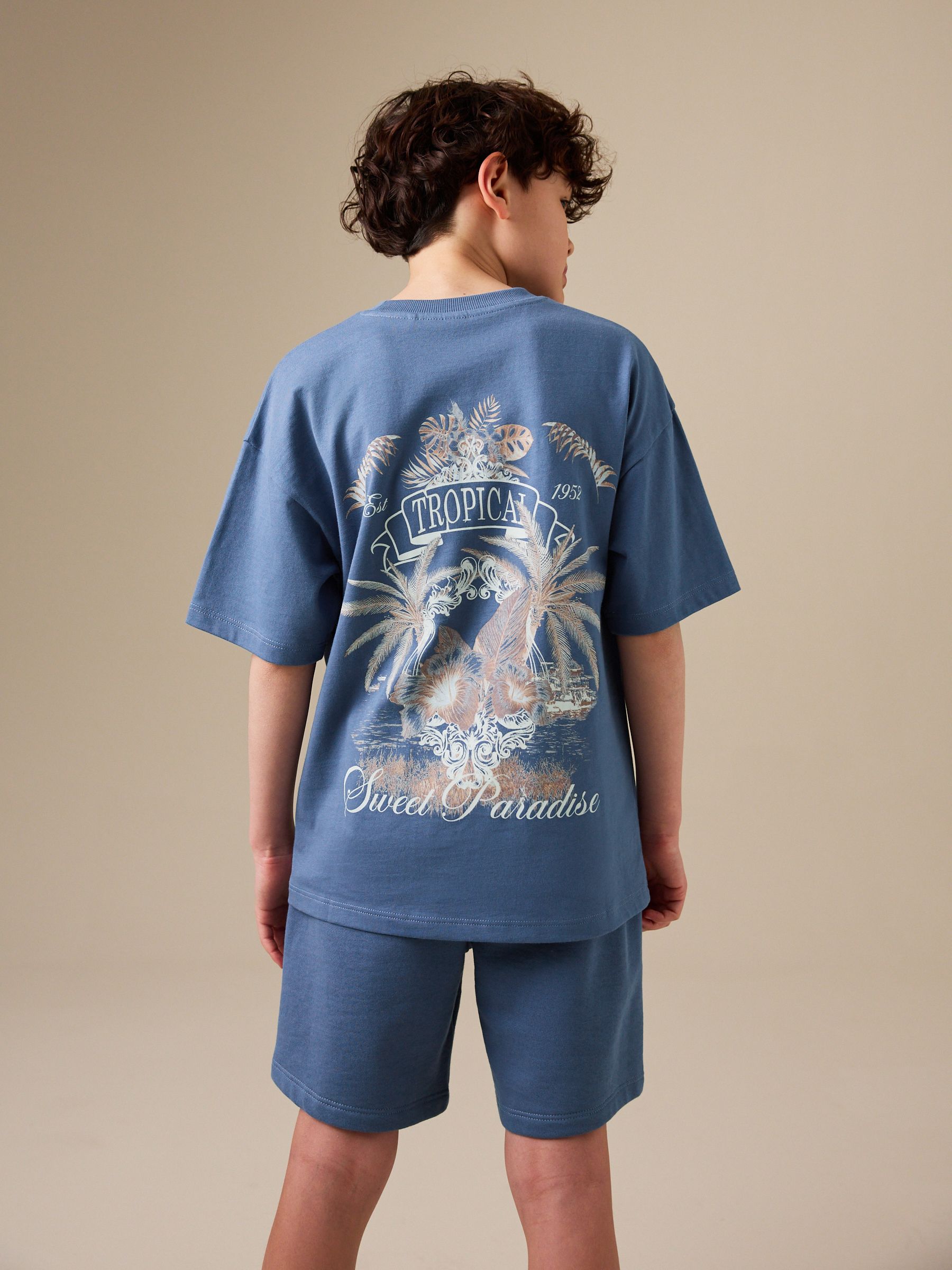 Buy Blue Short Sleeve T-Shirt and Shorts Set (3-16yrs) from Next USA