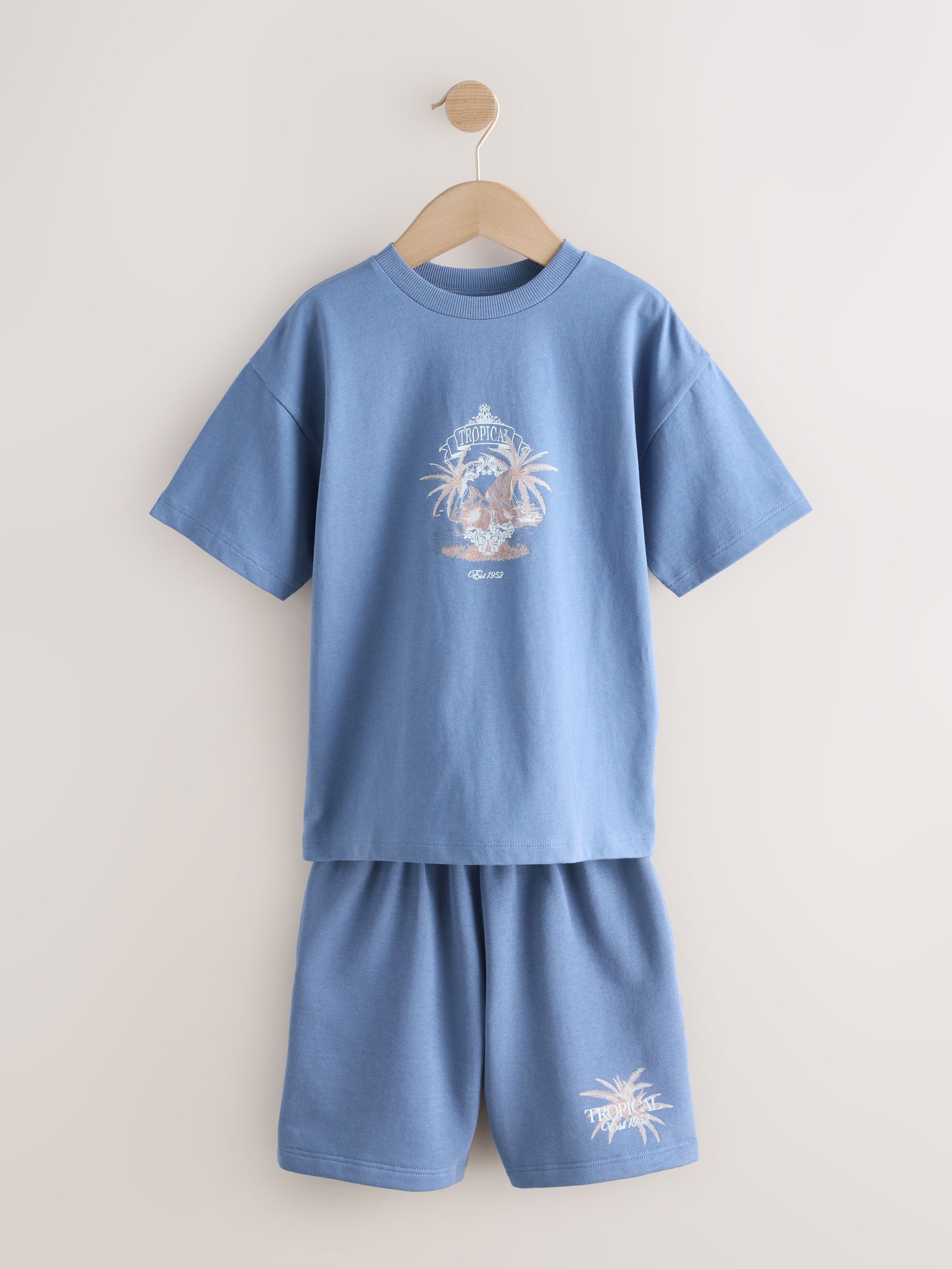 Buy Blue Short Sleeve T-Shirt and Shorts Set (3-16yrs) from Next USA