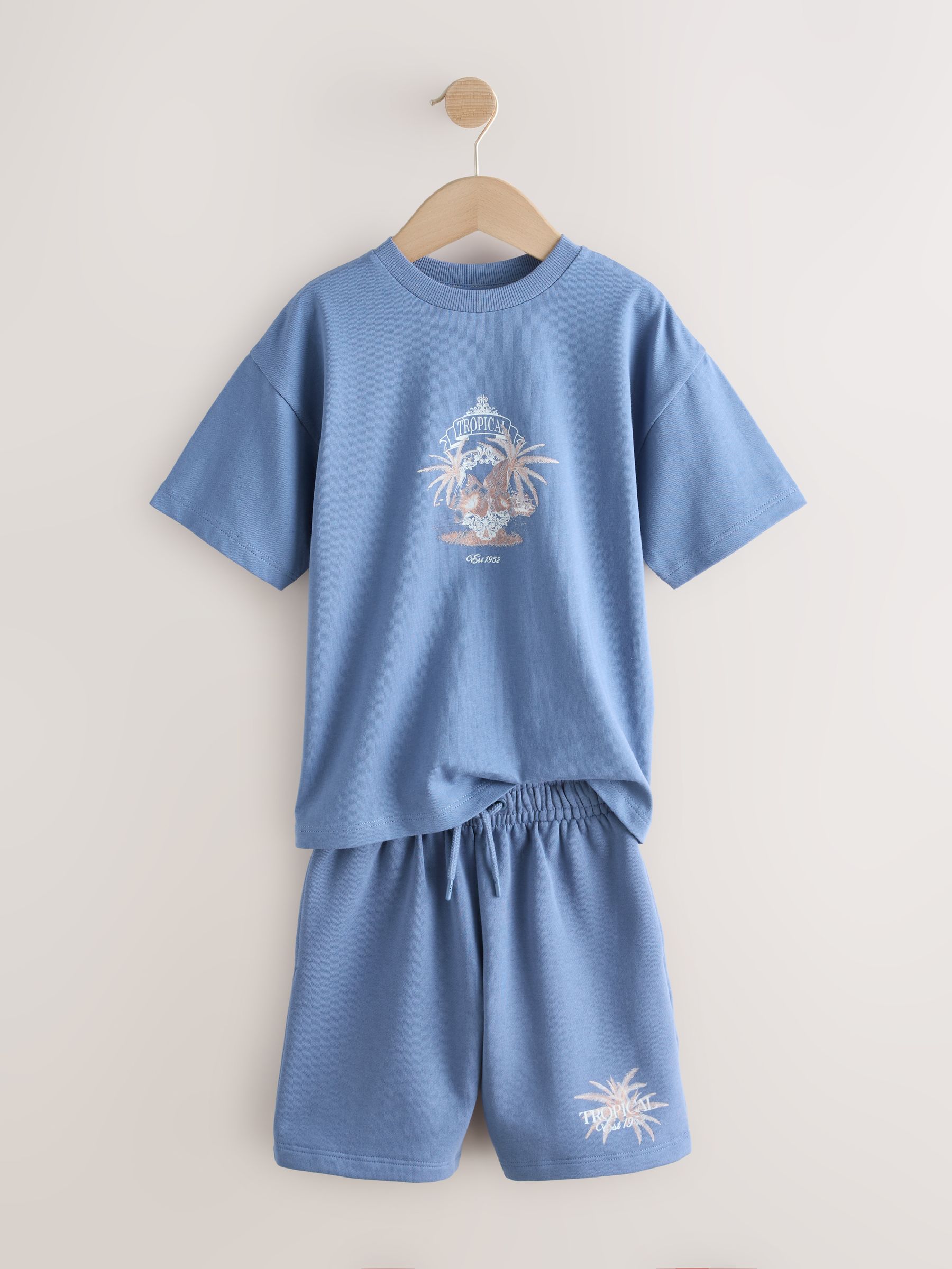 Buy Blue Short Sleeve T-Shirt and Shorts Set (3-16yrs) from Next USA