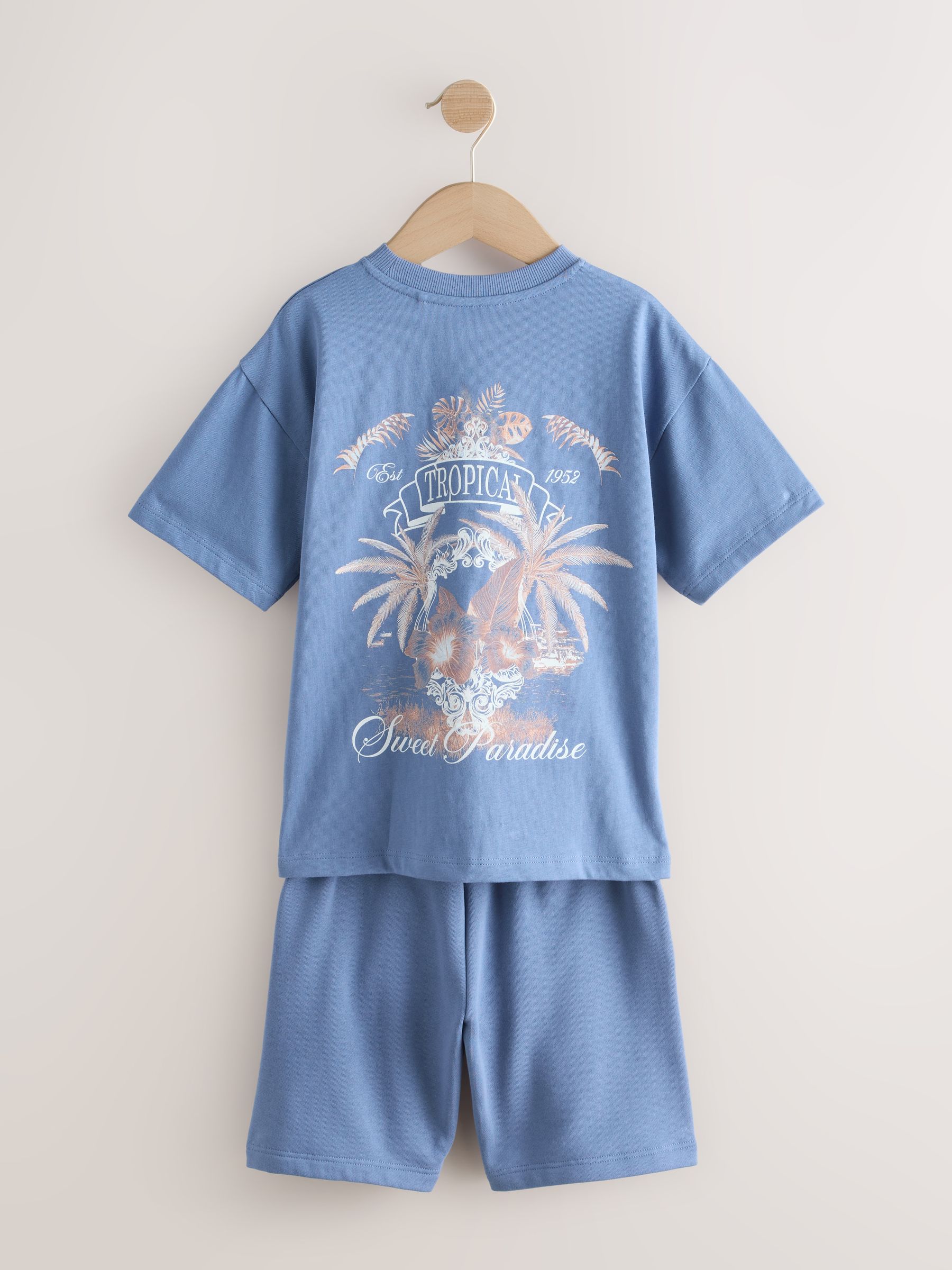 Buy Blue Short Sleeve T-Shirt and Shorts Set (3-16yrs) from Next USA