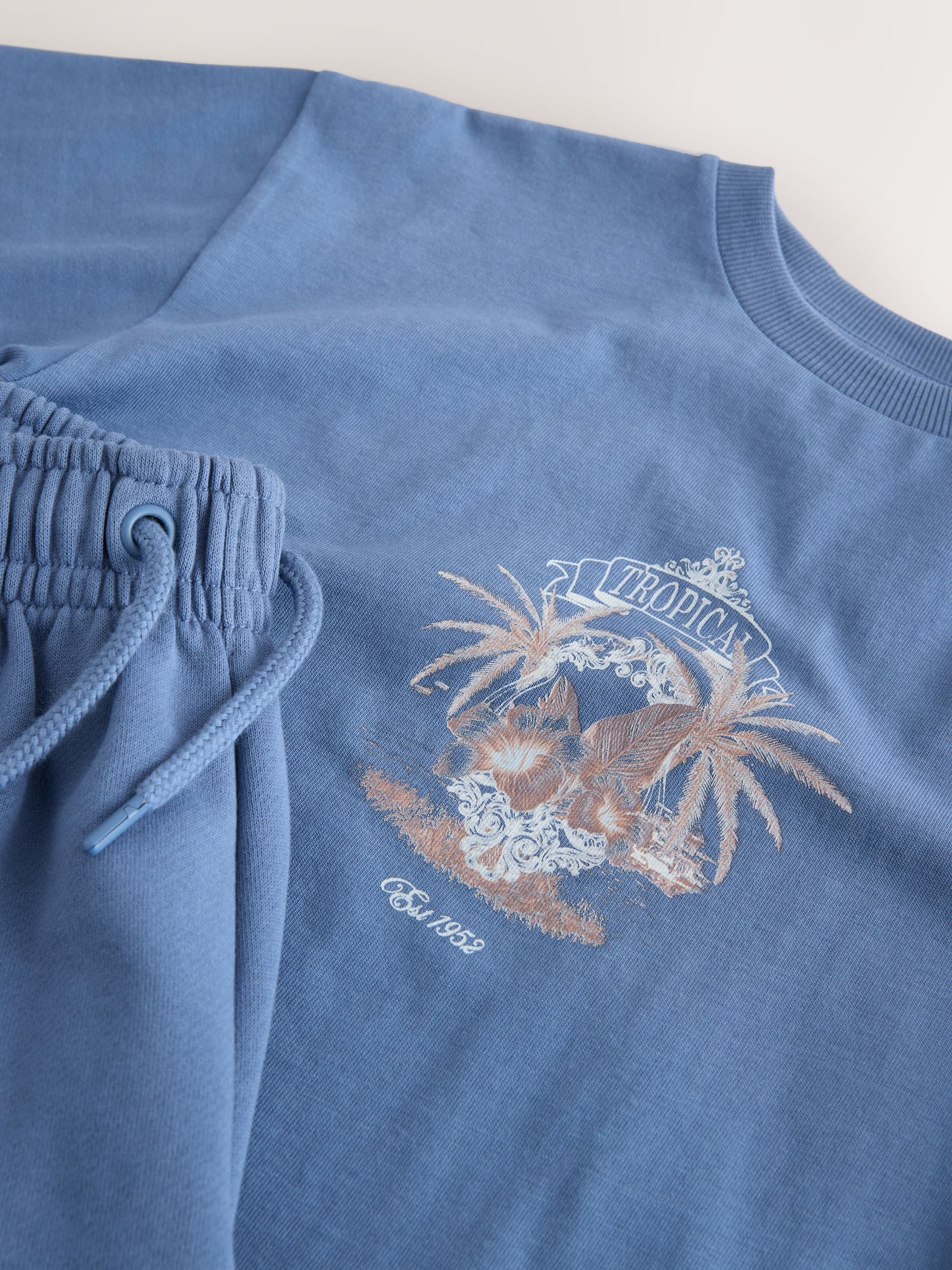Buy Blue Short Sleeve T-Shirt and Shorts Set (3-16yrs) from Next