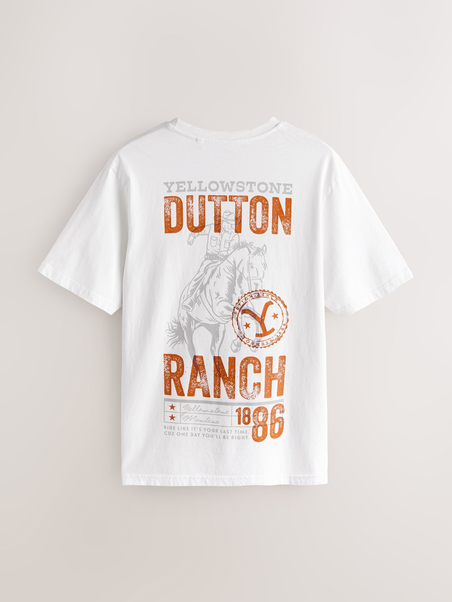 Buy White Yellowstone Graphic Print T-Shirt from Next USA