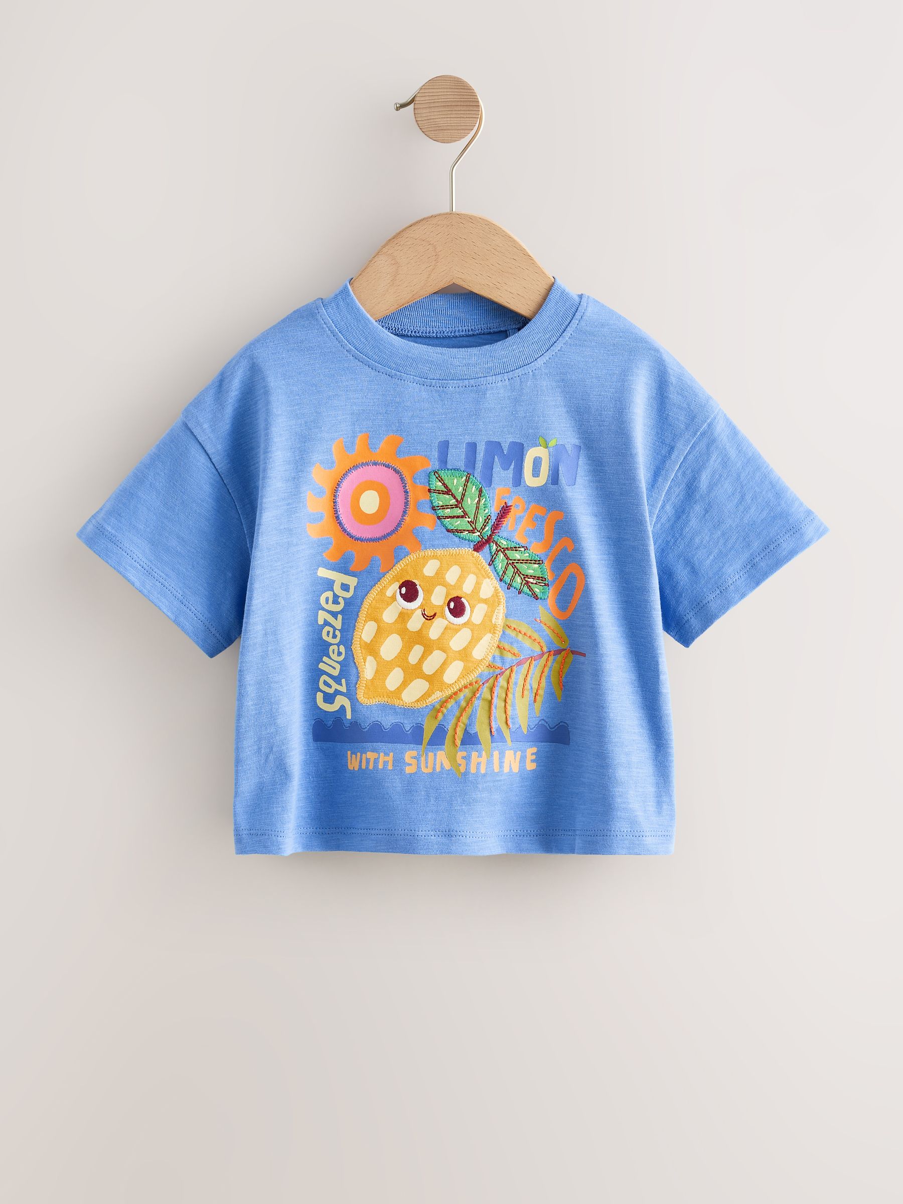 Buy Orange/Purple T-Shirts 4 Pack (3mths-7yrs) from Next USA