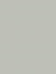 Laura Ashley Sage Leaf Matt Emulsion Peel & Stick Paint Sample - Image 3 of 4