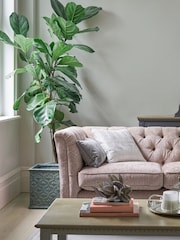 Laura Ashley Pale Sage Leaf Matt Emulsion Peel & Stick Paint Sample - Image 1 of 4