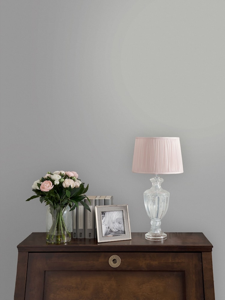 Laura Ashley Silver Matt Emulsion Peel & Stick Paint Sample - Image 1 of 4