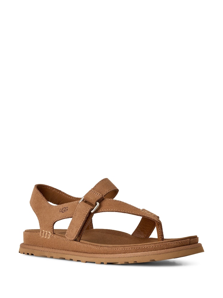 UGG Brown Goldengaze Toe Post Sandals - Image 1 of 6 UGG Brown Goldengaze Toe Post Sandals - Image 1 of 6