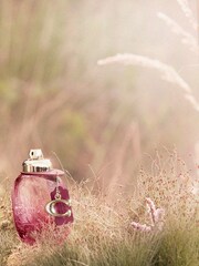 COACH Wild Rose Eau De Parfum 30ml - Image 4 of 4
