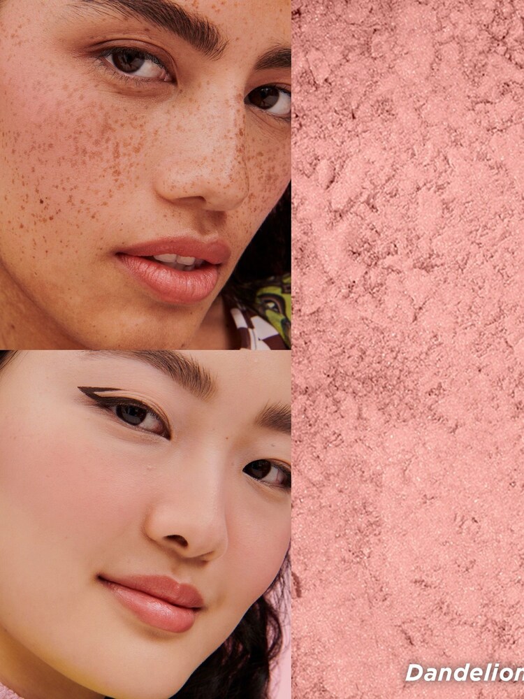 Benefit Dandelion BabyPink Blusher  Brightening Finishing Face Powder - Image 5 of 5