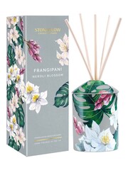 Stoneglow Urban Botanics Coconut and Lime Zest Reed Diffuser - Image 1 of 2