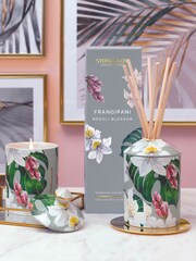 Stoneglow Urban Botanics Coconut and Lime Zest Reed Diffuser - Image 2 of 2