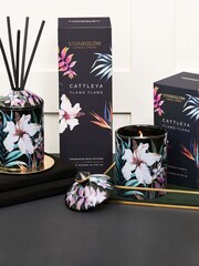 Stoneglow Urban Botanics Cattleya and Ylang Ylang Reed Diffuser - Image 2 of 2