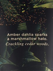 Victoria's Secret Star Smoked Amber Body Lotion - Image 2 of 2