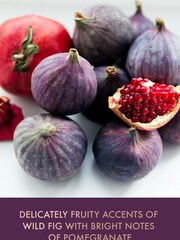 Baylis & Harding Wild Fig & Pomegranate 5 Piece Gift Set - Image 5 of 5