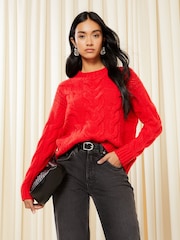 Friends Like These Berry Red Crew Neck Cable Pointelle Knit Jumper - Image 1 of 4