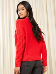 Friends Like These Berry Red Crew Neck Cable Pointelle Knit Jumper - Image 4 of 4