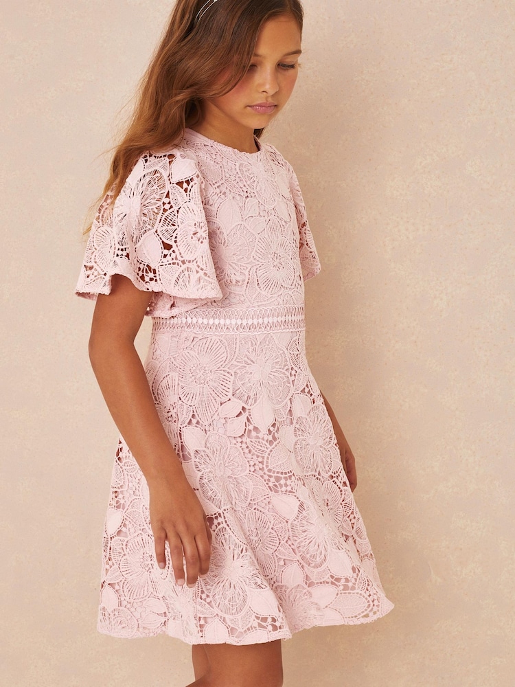 Lipsy Pink Flutter Sleeve Lace Occasion Dress - Image 1 of 4 Lipsy Pink Flutter Sleeve Lace Occasion Dress - Image 1 of 4
