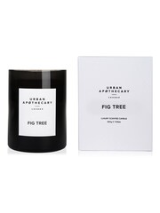 Urban Apothecary Fig Tree Luxury Candle - Image 2 of 2