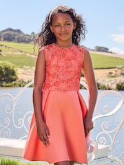 Lipsy Coral Pink Lace Bodice Occasion Dress - Image 1 of 4