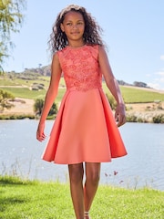 Lipsy Coral Pink Lace Bodice Occasion Dress - Image 3 of 4