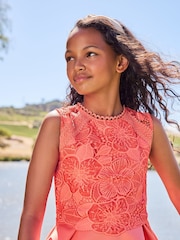 Lipsy Coral Pink Lace Bodice Occasion Dress - Image 4 of 4