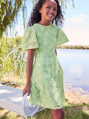Lipsy Green Flutter Sleeve Lace Occasion Dress - Image 1 of 4