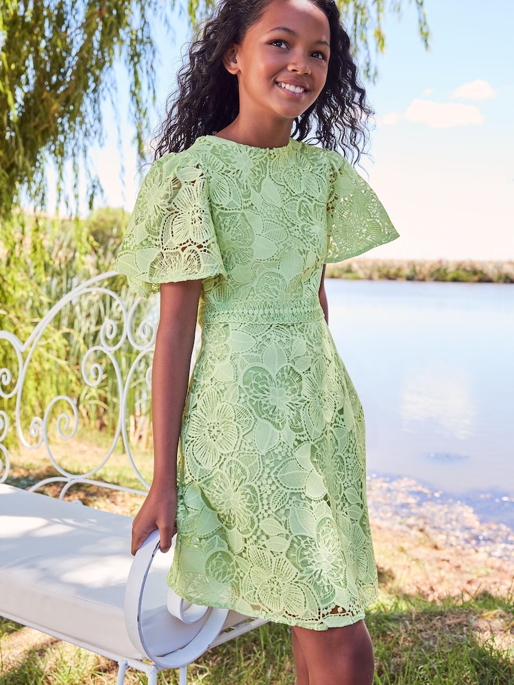 Lipsy Green Flutter Sleeve Lace Occasion Dress - Image 1 of 4 Lipsy Green Flutter Sleeve Lace Occasion Dress - Image 1 of 4