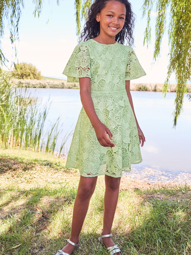 Lipsy Green Flutter Sleeve Lace Occasion Dress - Image 2 of 4