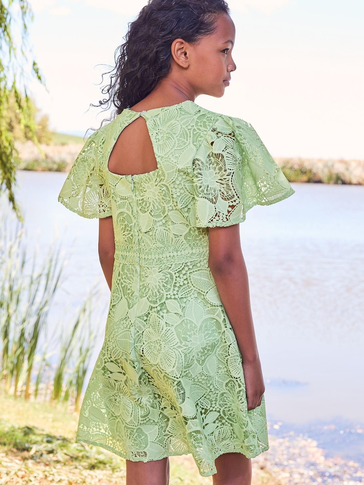 Lipsy Green Flutter Sleeve Lace Occasion Dress - Image 4 of 4 Lipsy Green Flutter Sleeve Lace Occasion Dress - Image 4 of 4