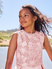 Lipsy Blush Pink Lace Bodice Occasion Dress - Image 3 of 4