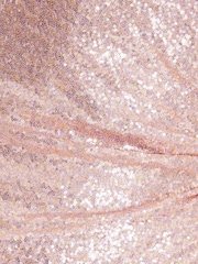 Quiz Light Pink Sequin Bardot Maxi Dress - Image 5 of 5