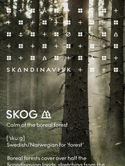 SKANDINAVISK SKOG Diffuser 200ml Refill - Image 3 of 3