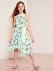 Lipsy Sage Green Floral Pleated Chiffon Occasion Dress - Image 1 of 4