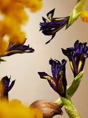 Rituals Orris Mimosa Refill Car Perfume - Image 4 of 5
