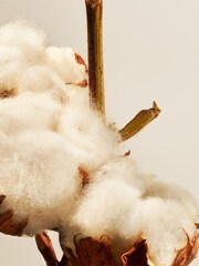 Rituals Cotton Blossom Scented Candle - Image 4 of 5