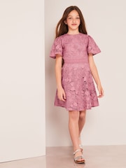 Lipsy Rose Pink Flutter Sleeve Lace Occasion Dress - Image 2 of 4