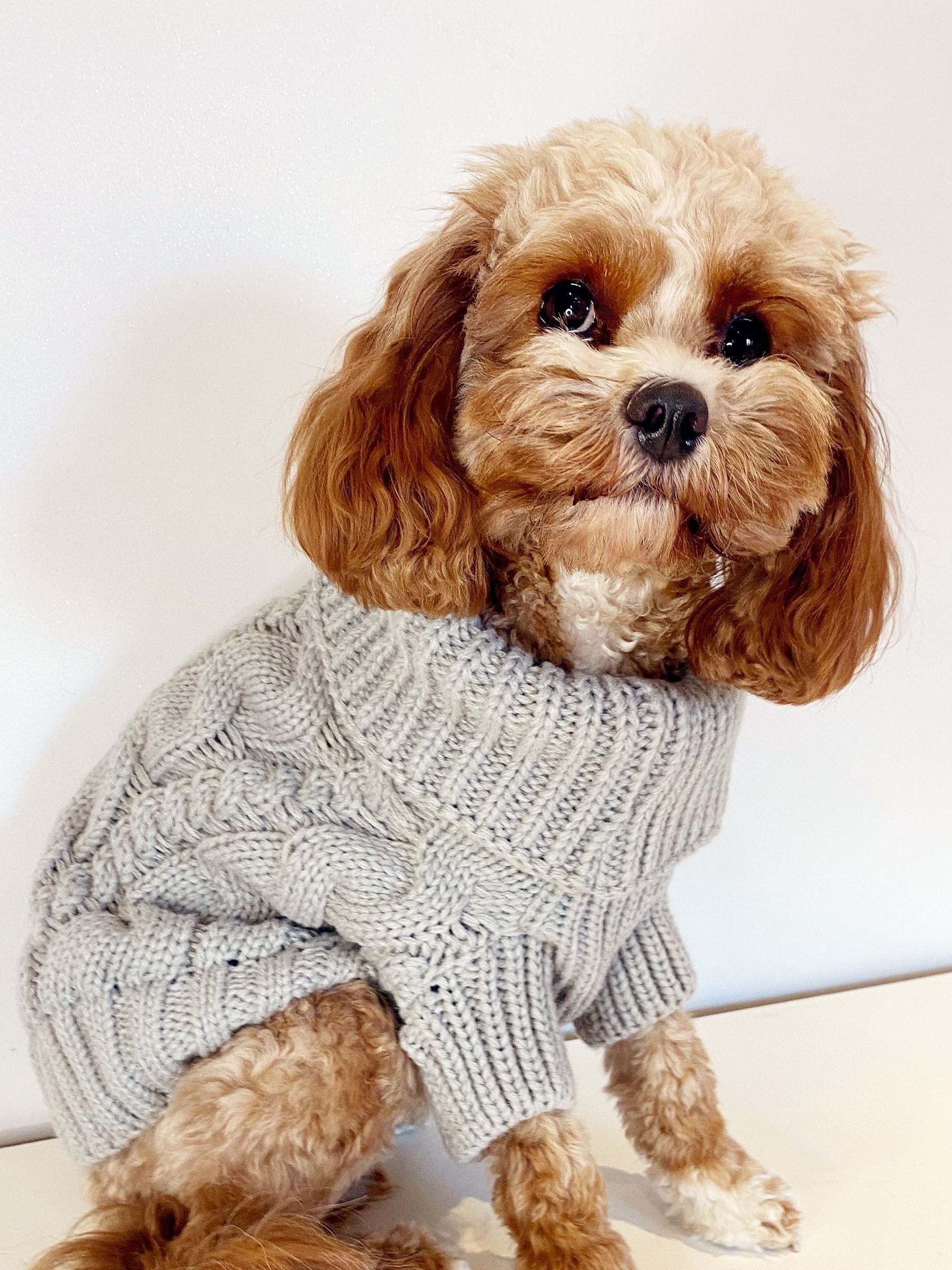 Buy Lipsy Grey Super Soft Cable Knit Dog Jumper from Next Luxembourg
