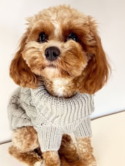Lipsy Grey Super Soft Cable Knit Dog Jumper - Image 2 of 3