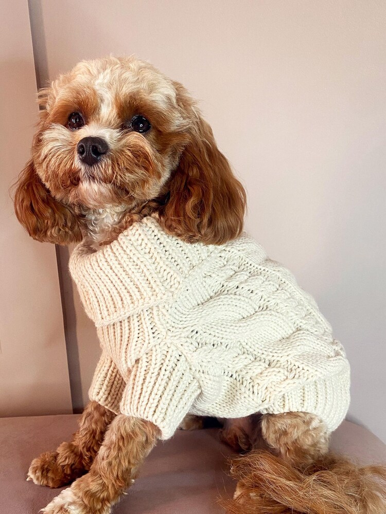 Lipsy Cream Super Soft Cable Knit Dog Jumper - Image 1 of 3
